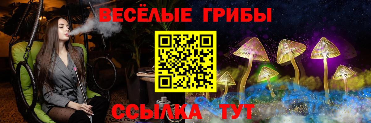 Псилоцибиновые грибы прущие грибы Бахчисарай